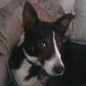 Meet your Posher, Charles